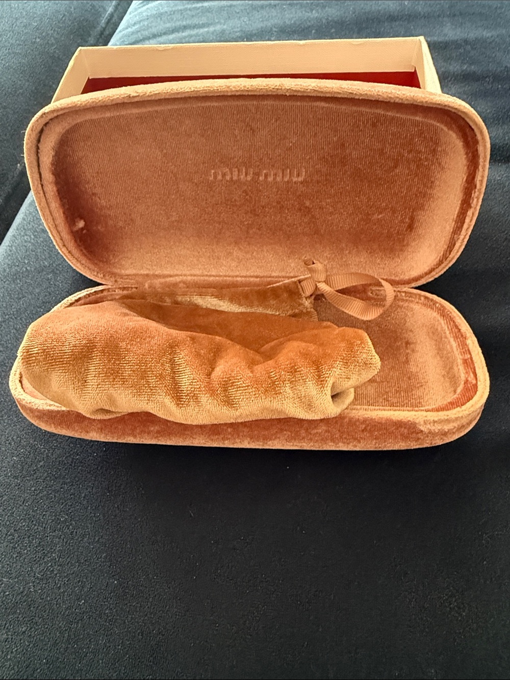 Miu Miu Velvet Pouch and sunglasses case